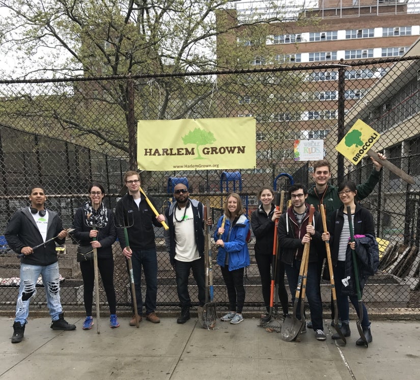 New York Team Event: Harlem Grow