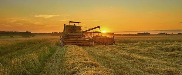 agribusiness outlook