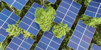 solar panels and trees