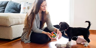 person playing with dog