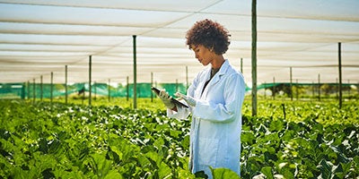 researcher with crops