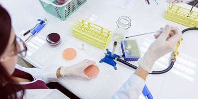 laboratory researcher