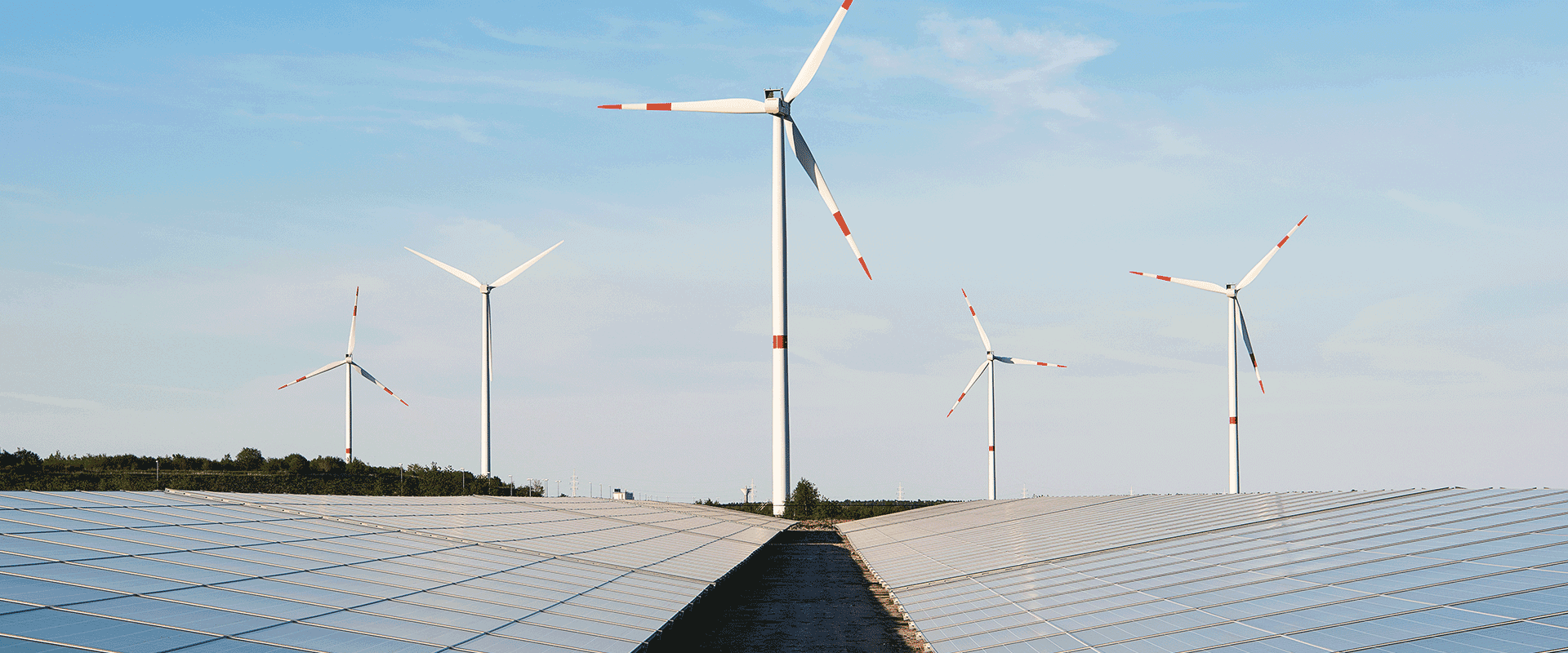 windmills 