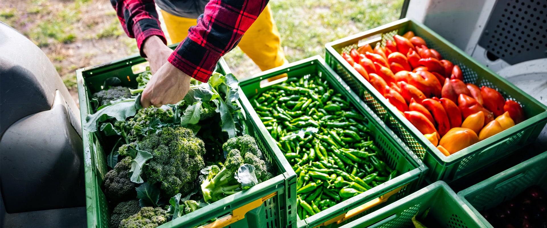 Man tending to baskets of produce