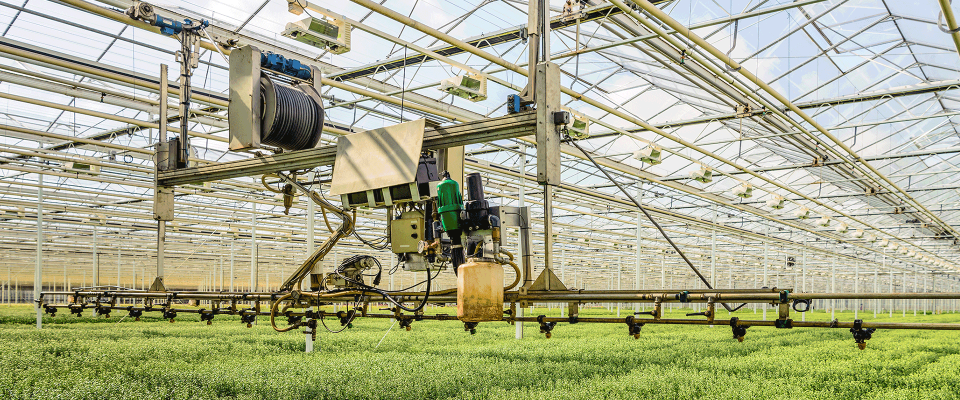 Controlled Environment Agriculture: A Futuristic Fix for the Food System |  L.E.K. Consulting