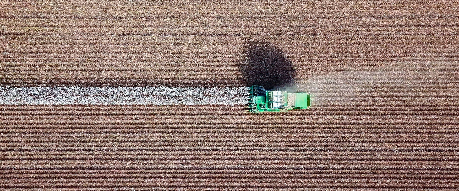 Nine Trends Transforming the Agribusiness Industry