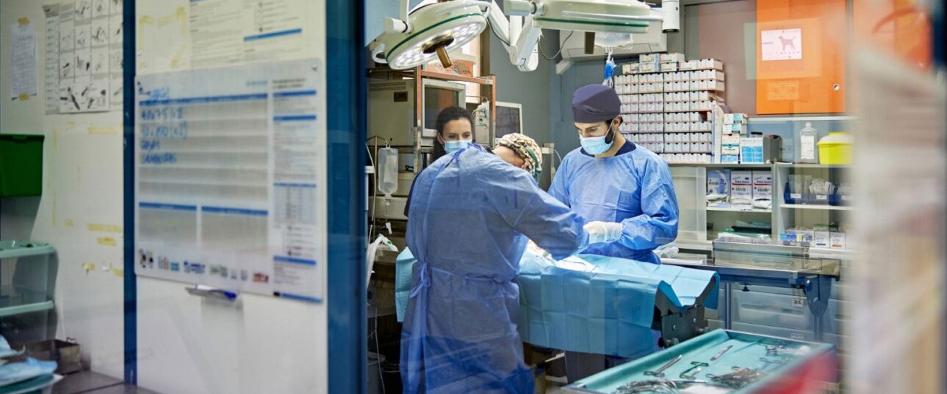 surgeons in operating room