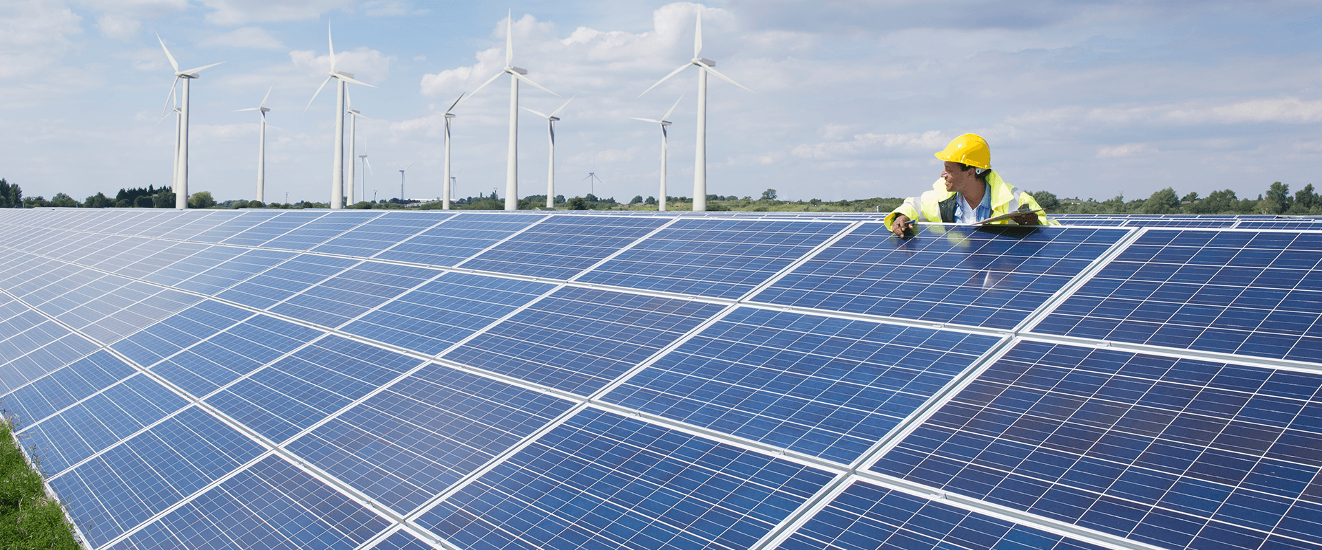 trends in the renewable energy industry