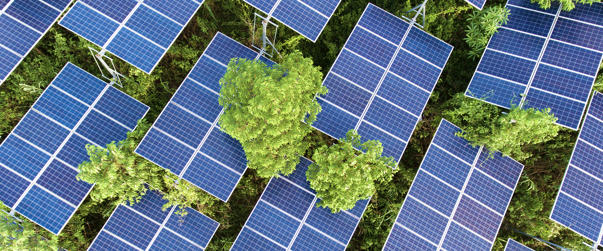 solar panel sustainable green