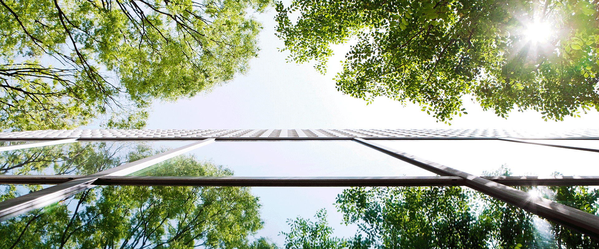 trees against building