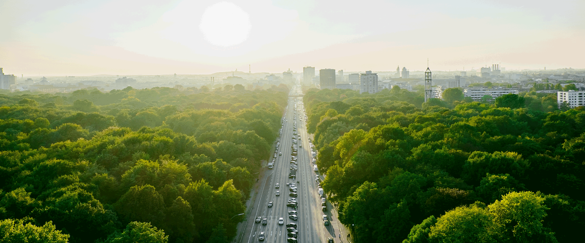sustainability - greenery