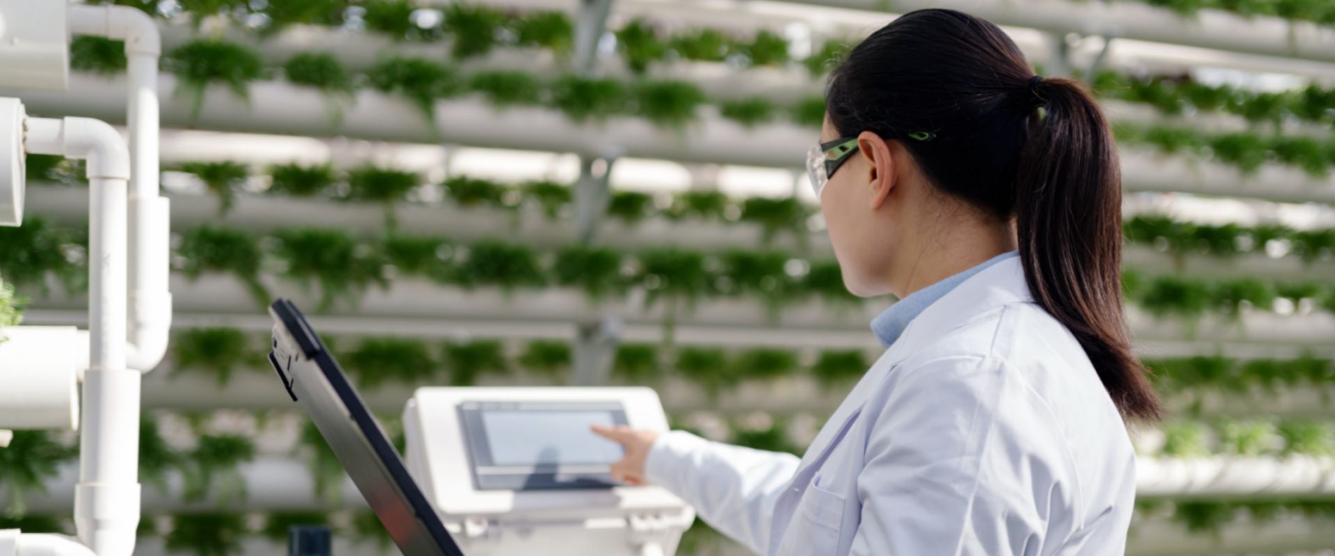 scientist in greenhouse