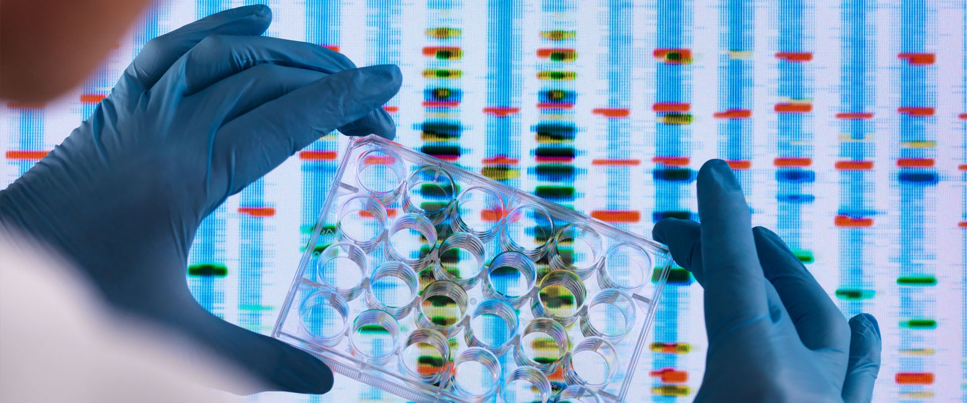 Someone with gloves holding lab samples