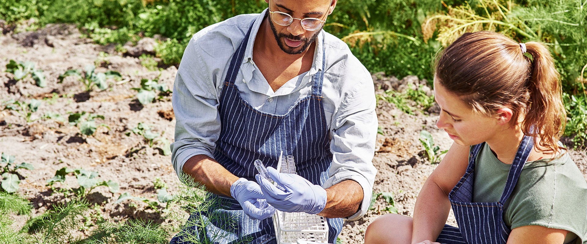 testing soil 