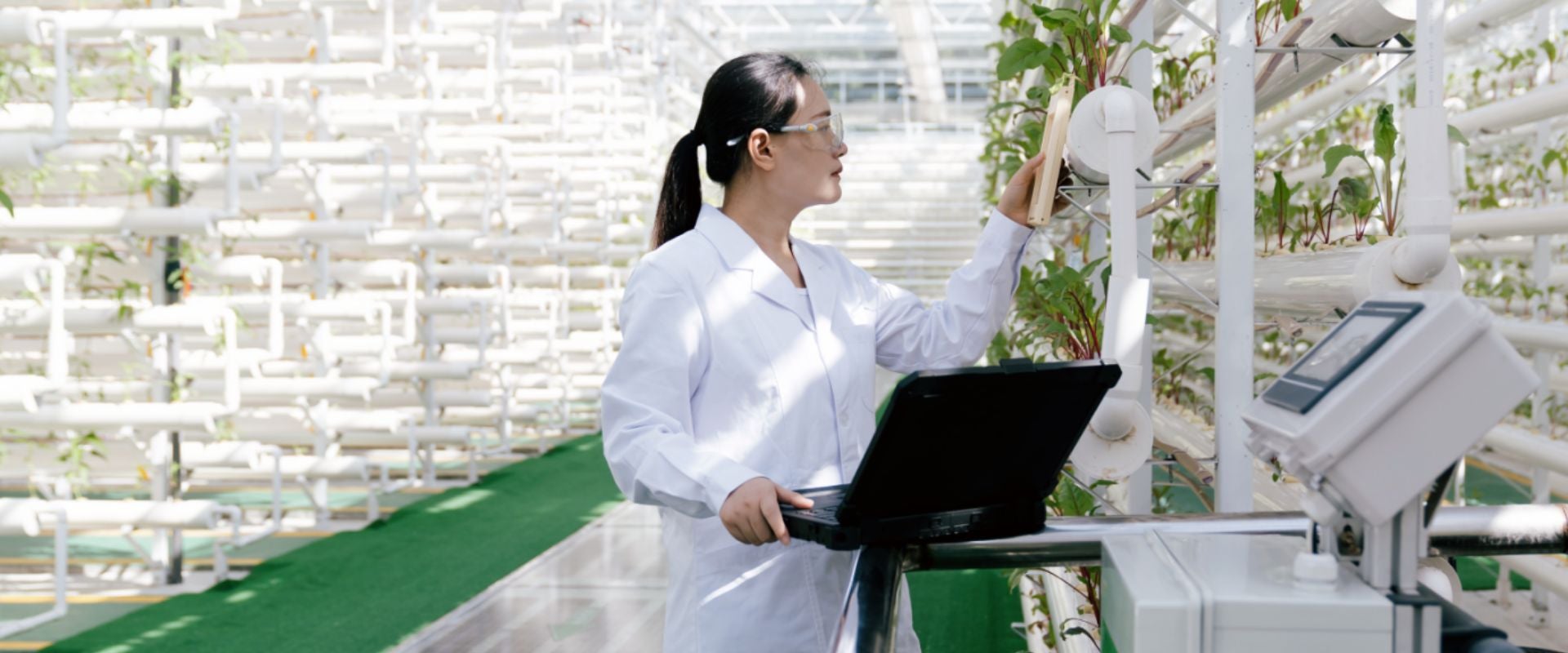 researcher in plant nursery