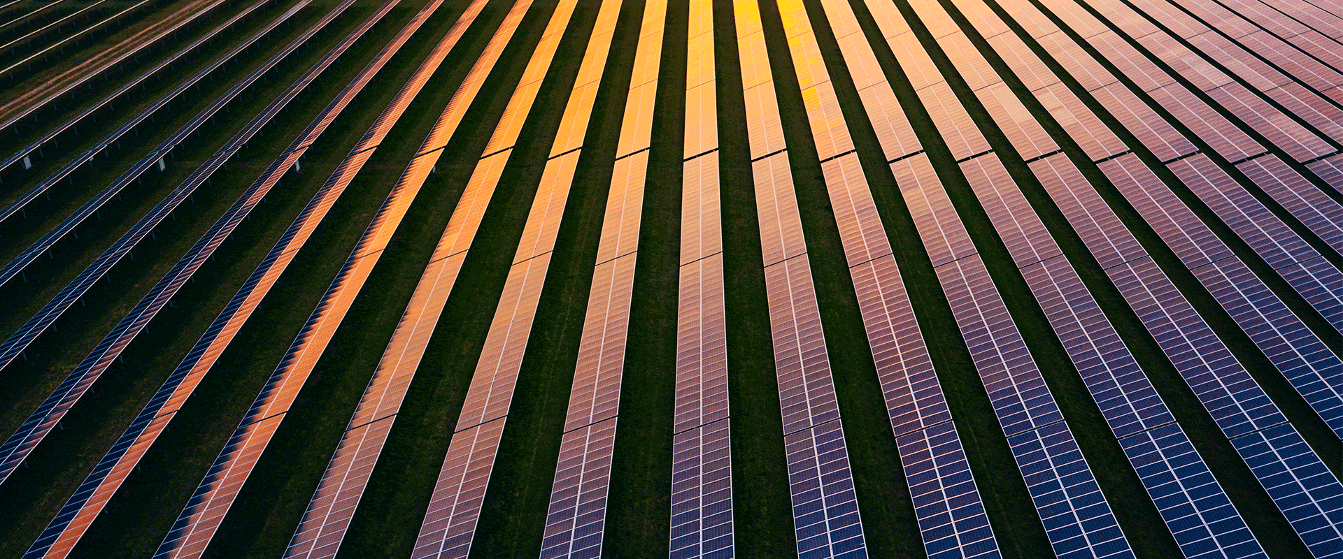 solar panel field