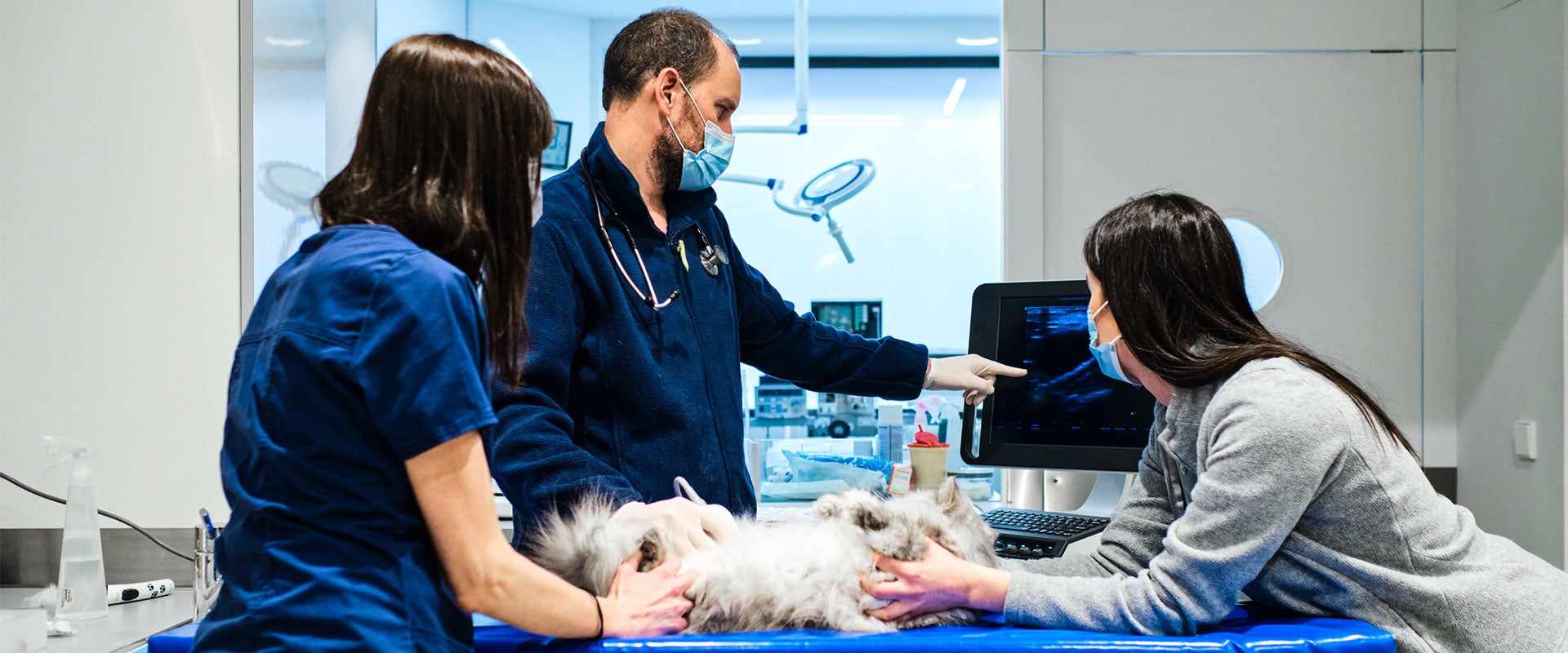 veterinarians