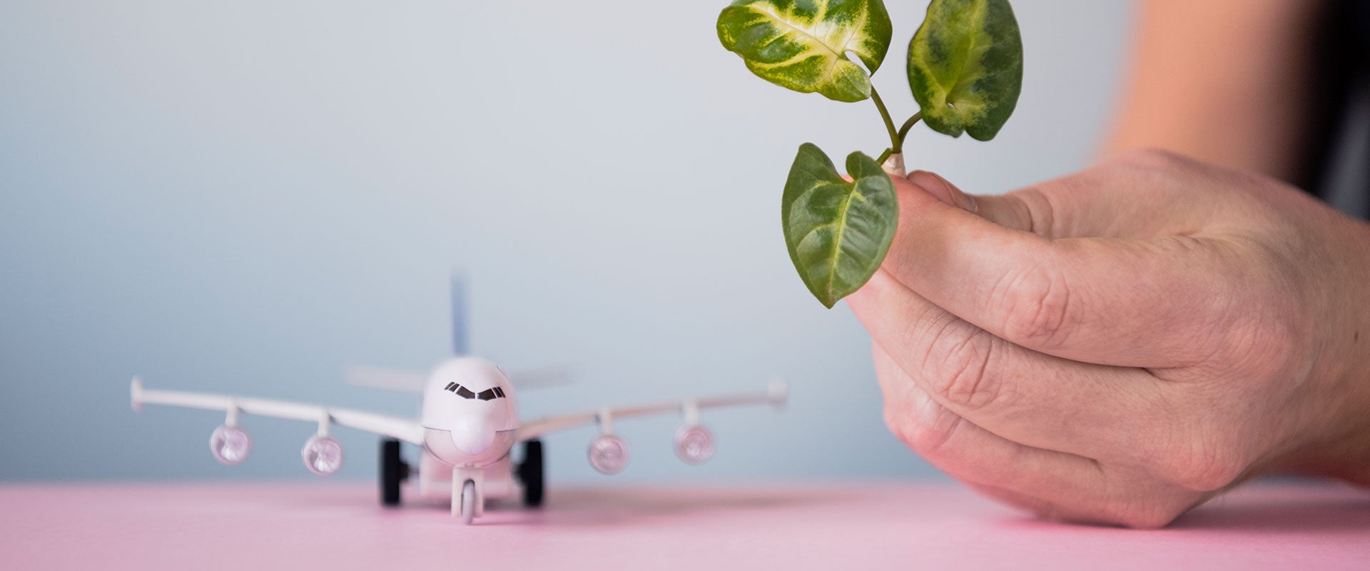 model airplane next to hand holding plant