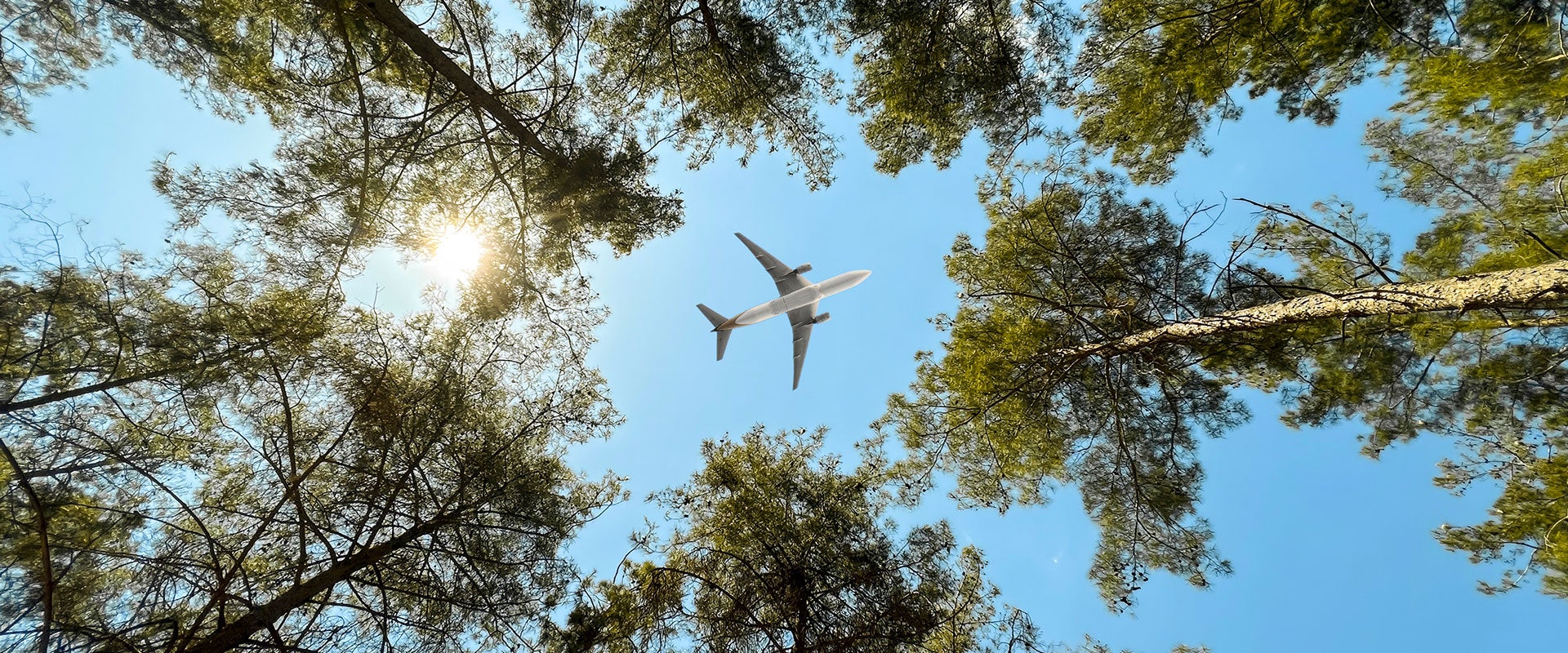 plane flying over forest