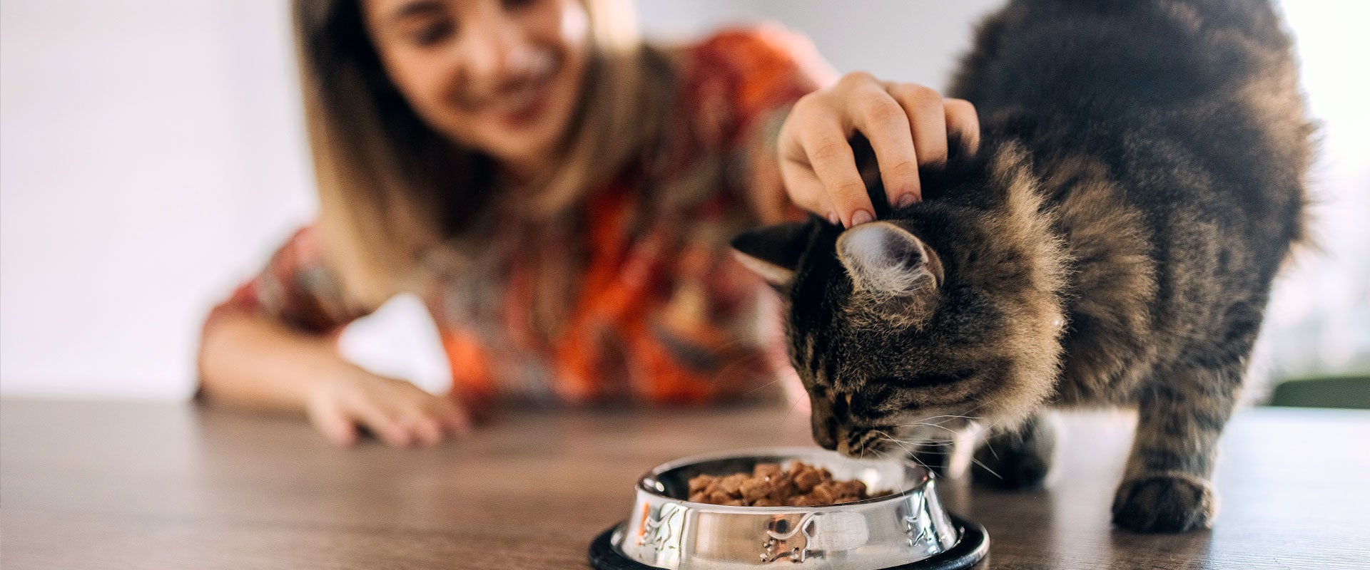 woman feeding kitten