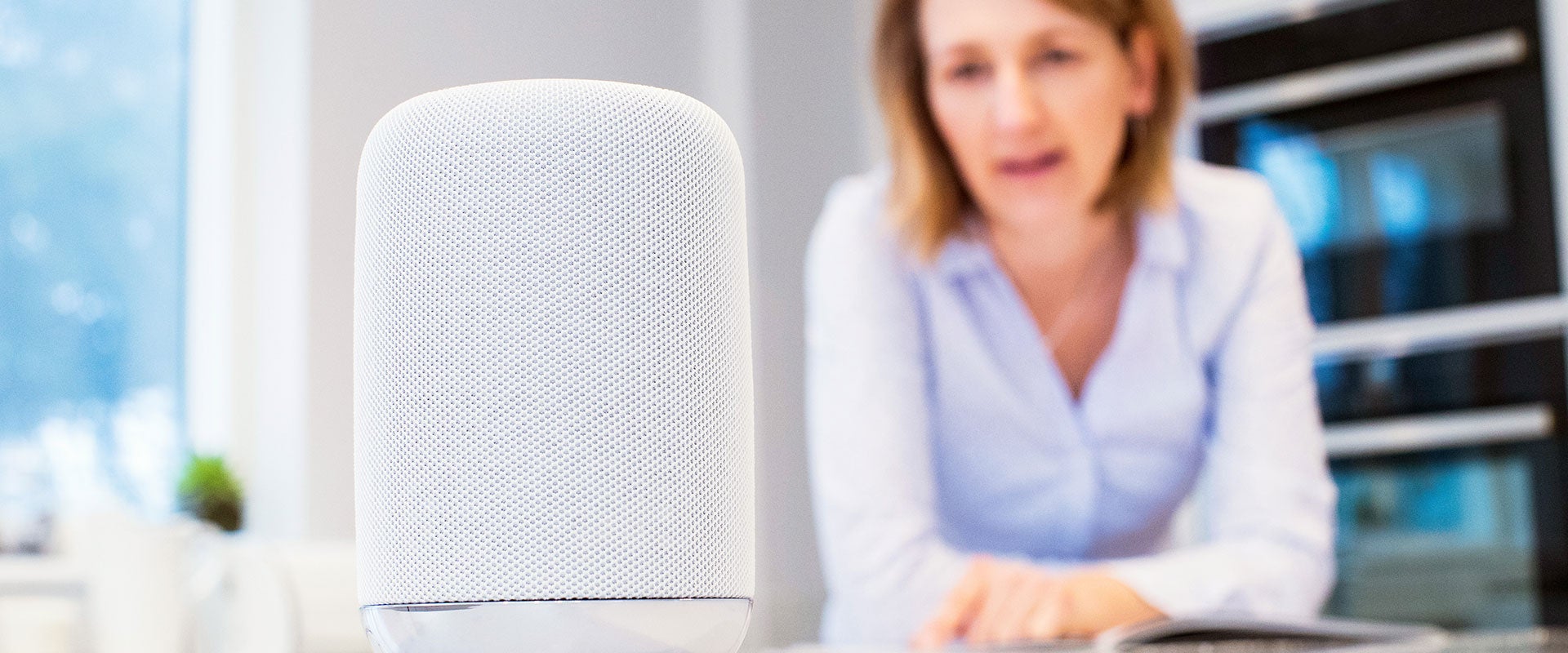 voice assistant