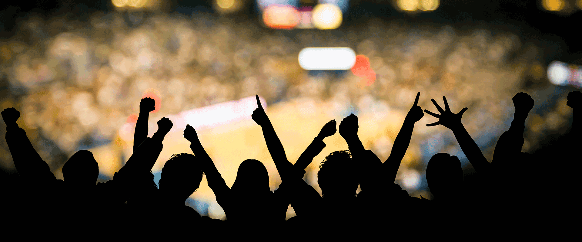 fans at a sports arena