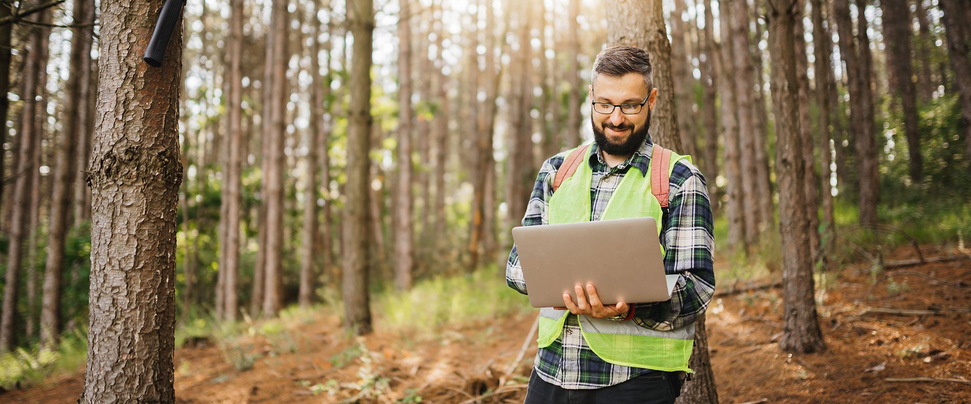 logger using laptop in forest