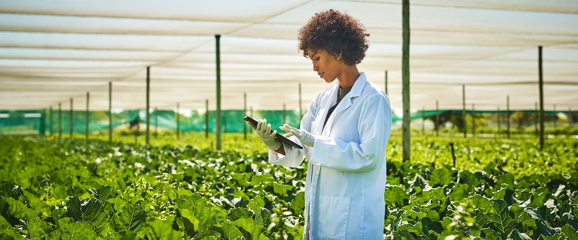 agricultural researcher