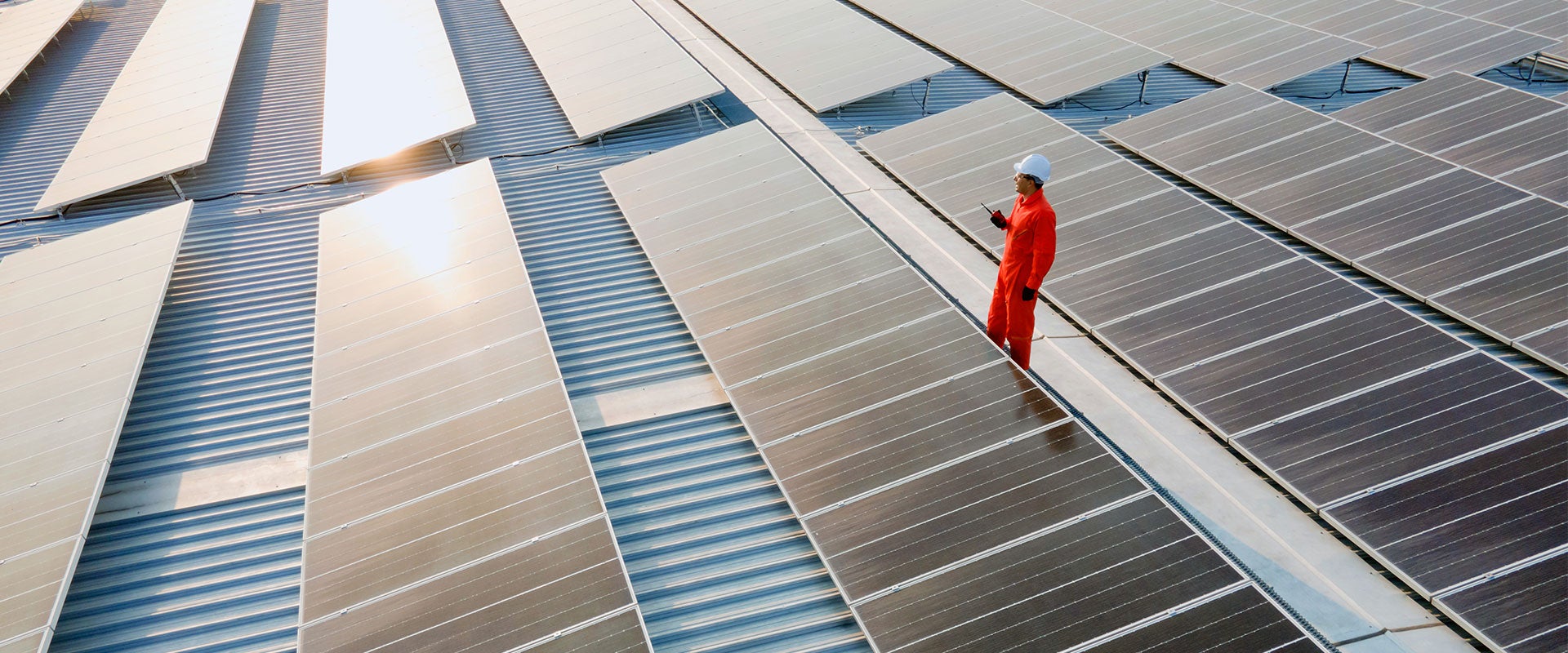 man among solar panels