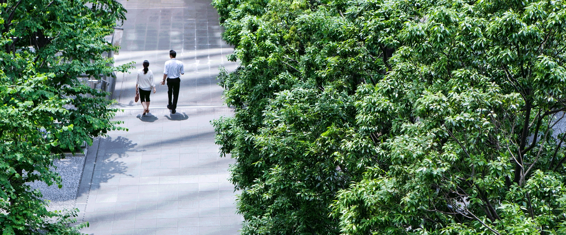 sustainability - evolving boardroom