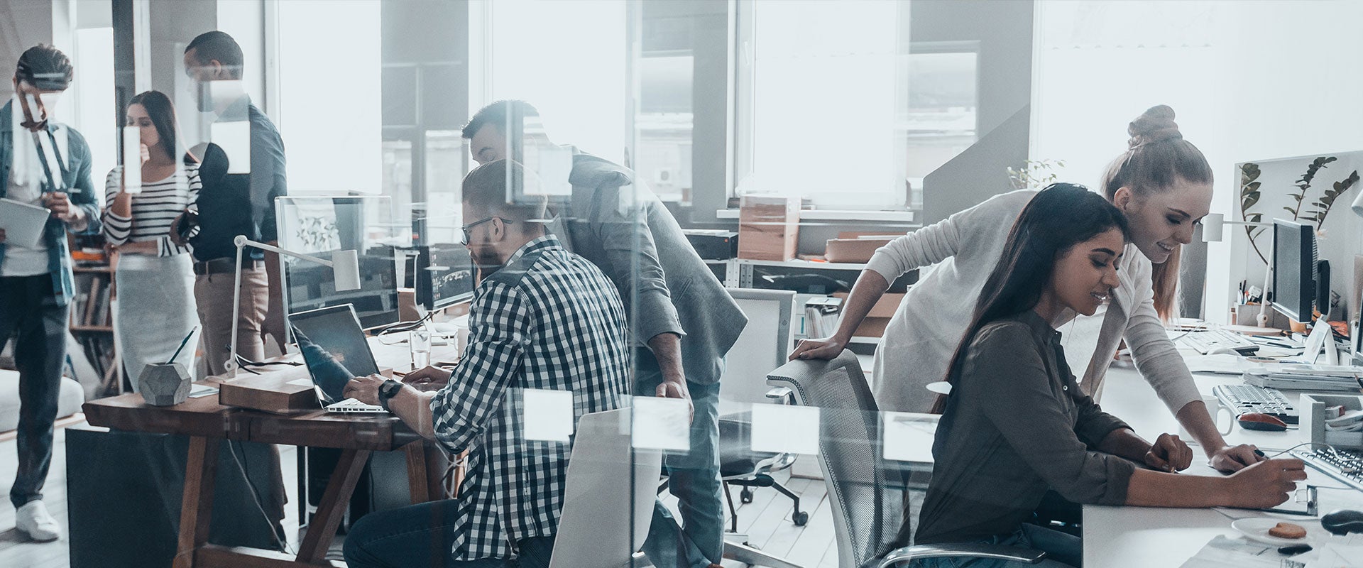 office workers 