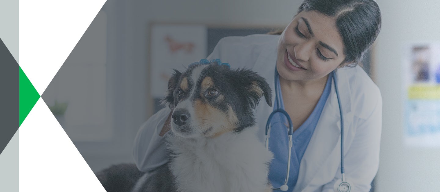 veterinarian smiling at dog