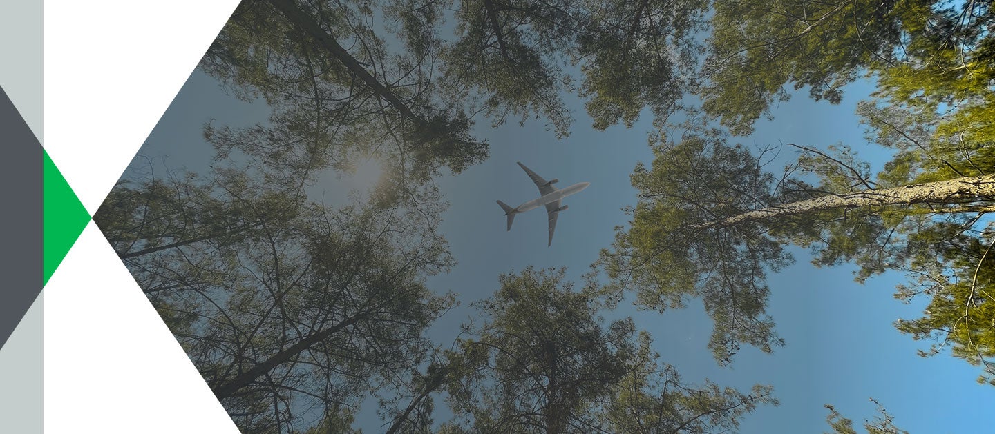 plane flying over forest