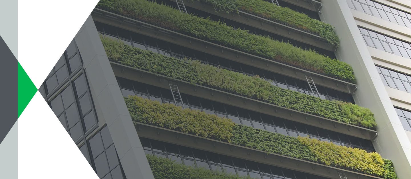 plants growing on building
