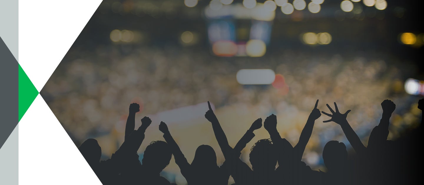 fans at a sports arena