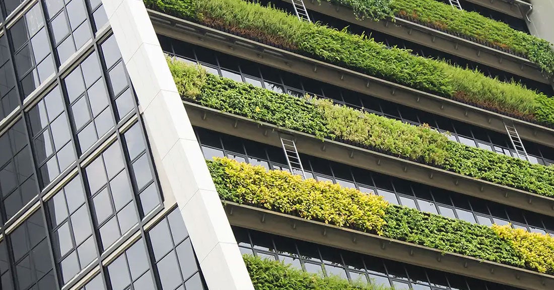 plants on building