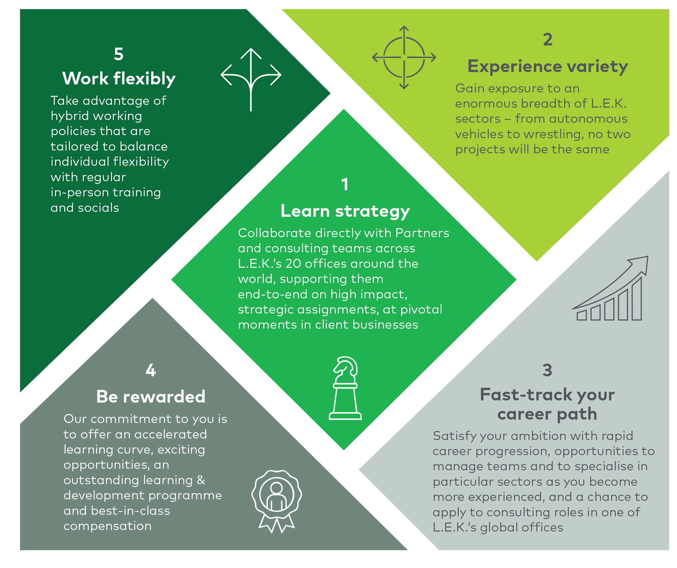 L.E.K. Capability Network job description