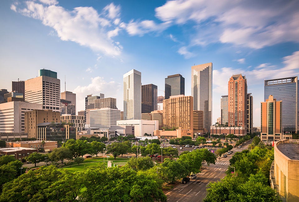 Houston Downtown View