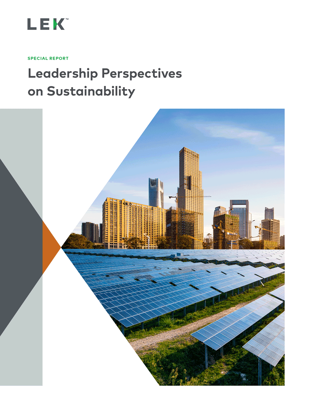 leadership perspectives on sustainability