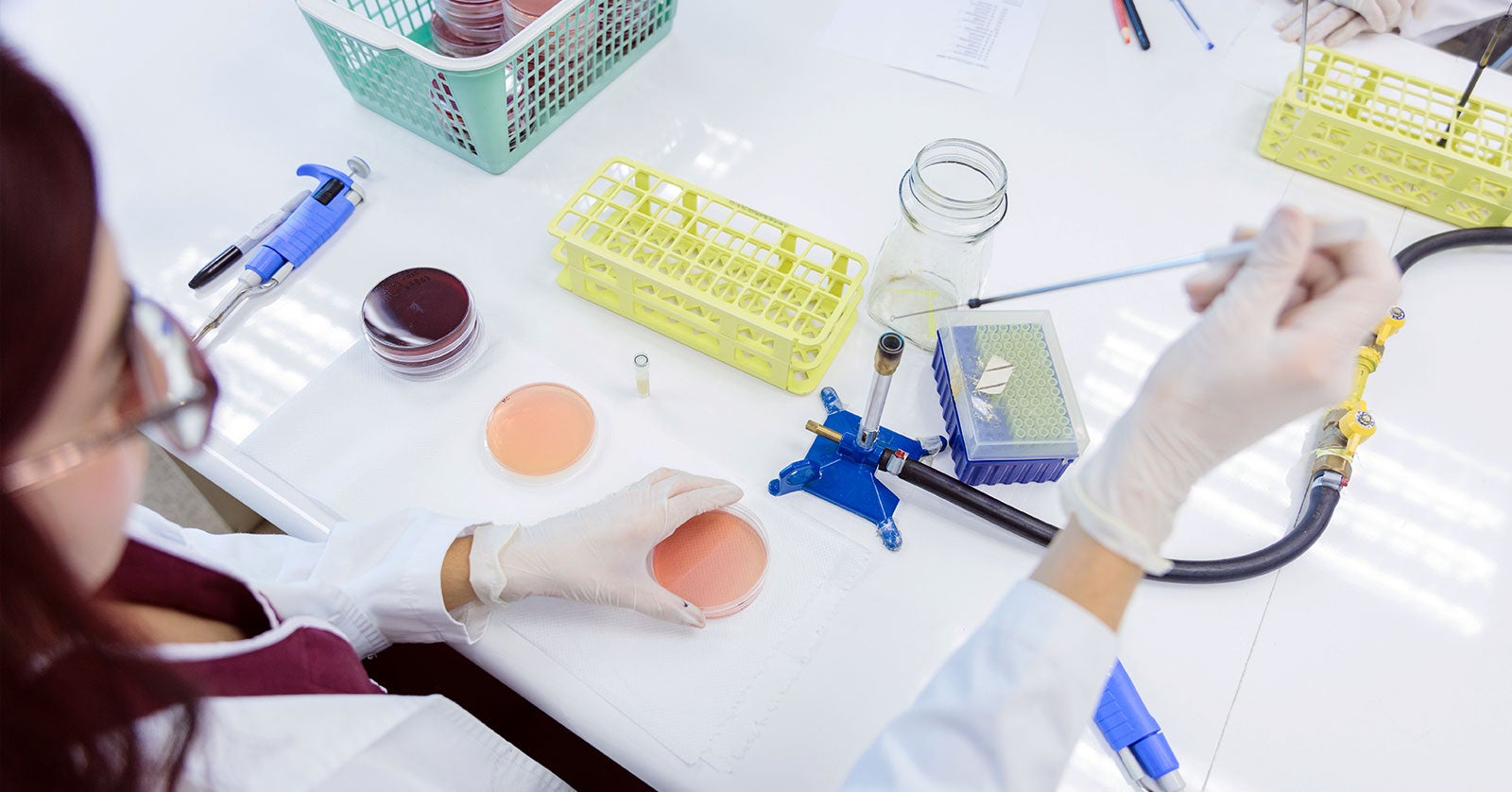 Autologous Cell Therapy: Key Challenges and Bioprocessing Innovations |  L.E.K. Consulting