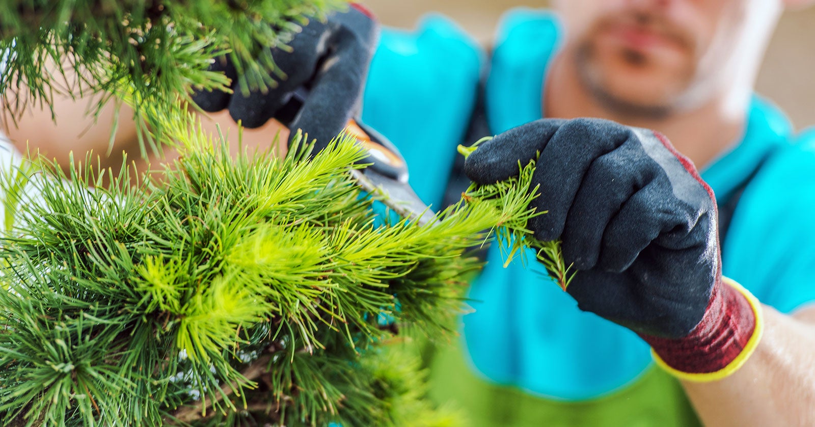 Is the Blossoming Commercial Landscaping Industry Ripe for Consolidation? |  L.E.K. Consulting
