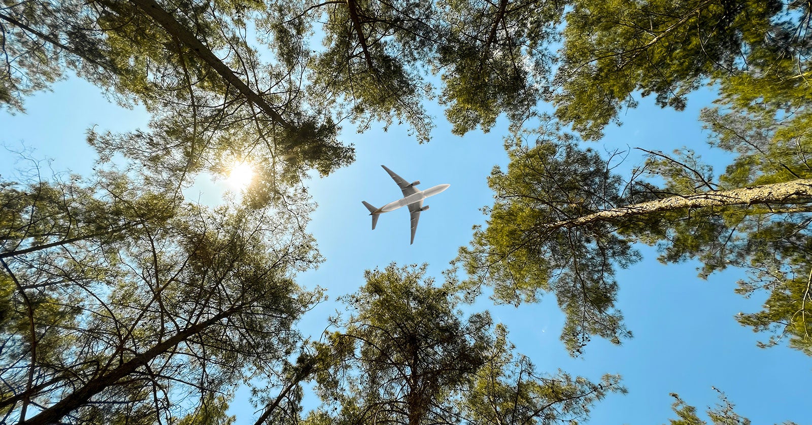plane flying over forest