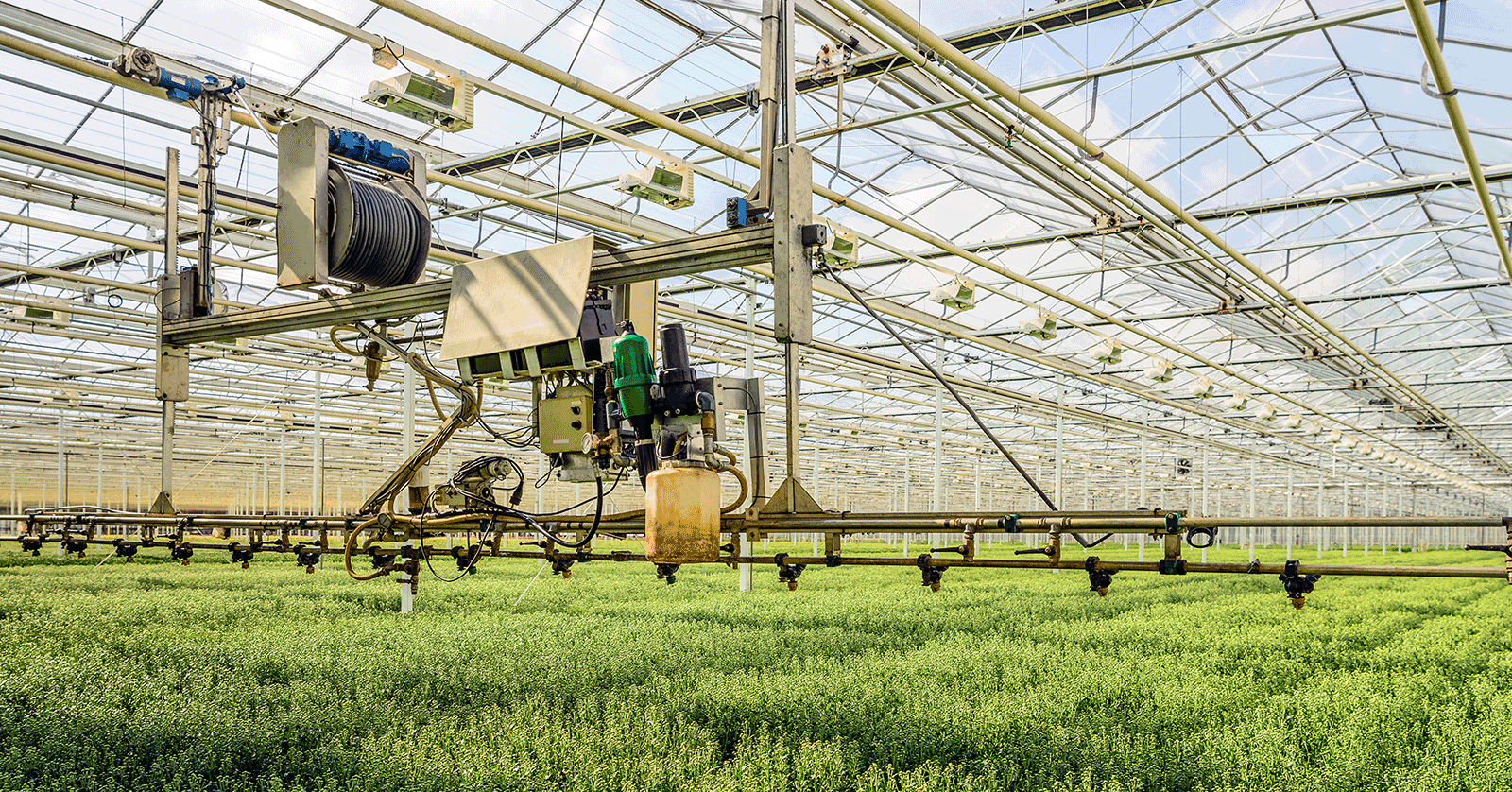 Kroger ramps up distribution with indoor farmer Gotham Greens