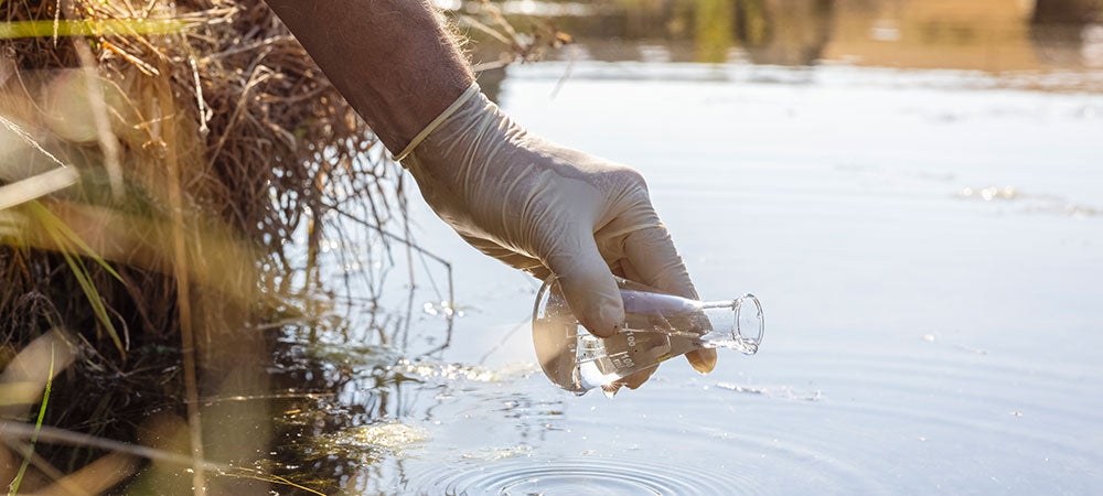 scientist testing water quality