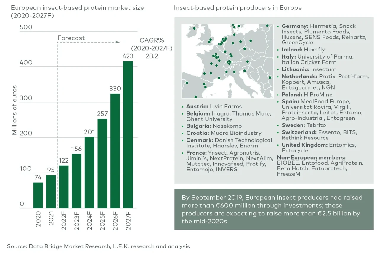 insect-based protein market