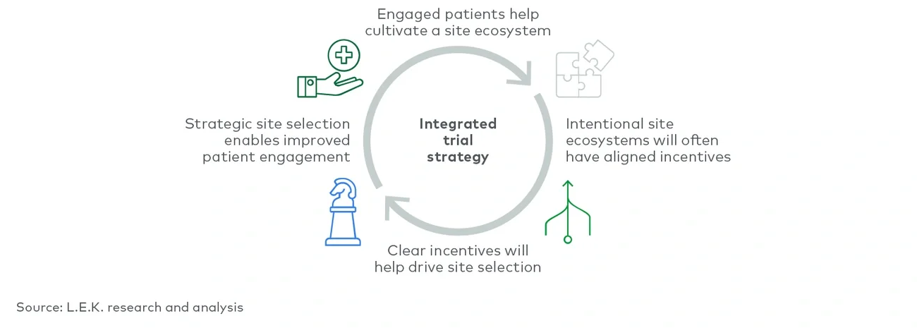 positive feedback loop