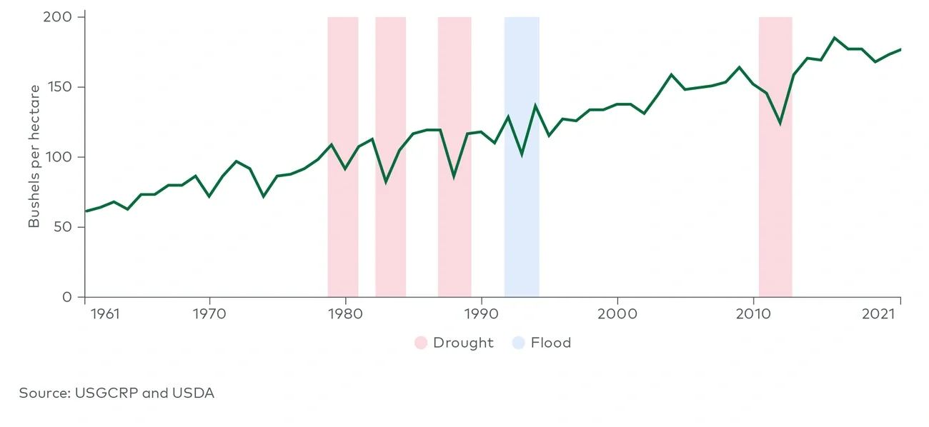Average corn (maize) yields per hectare per year in the U.S. (1961-2021)