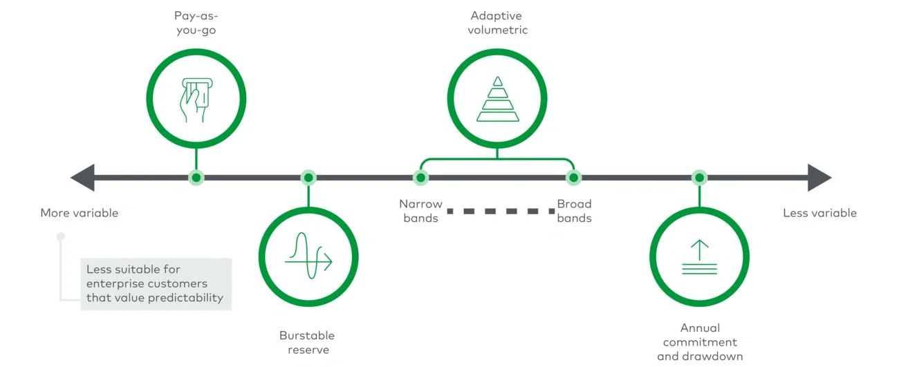 Usage-based pricing models 