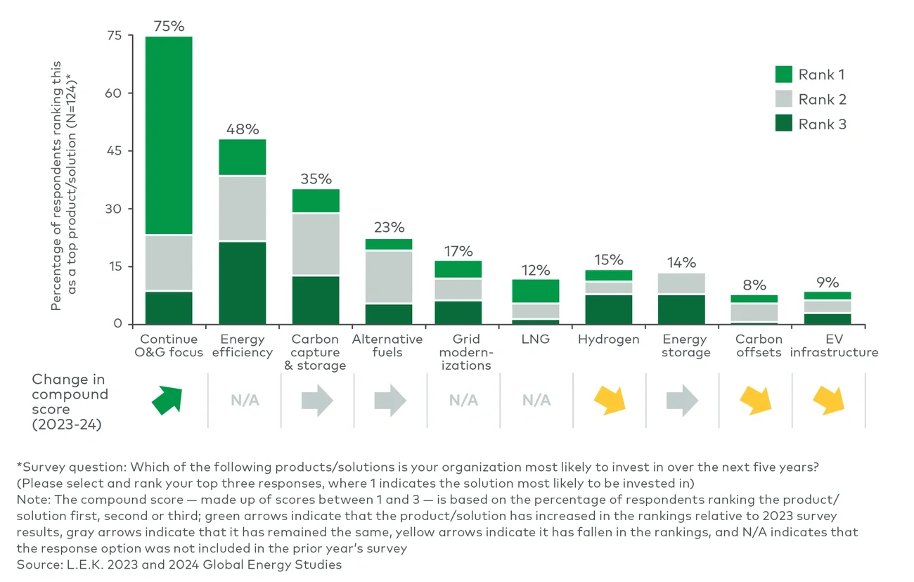 Products and solutions organizations are most likely to invest in over the next five years