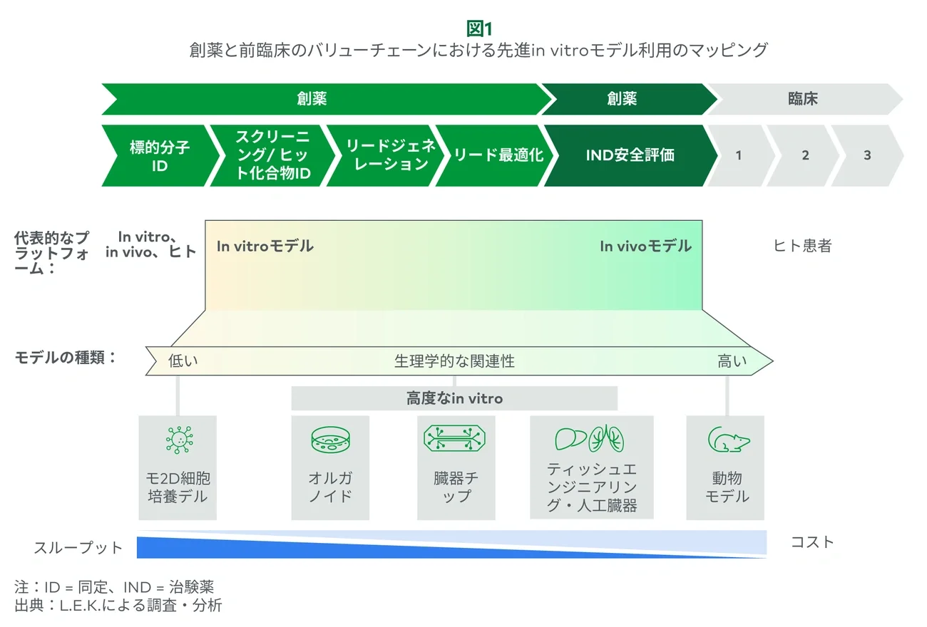 創薬と前臨床のバリューチェーンにおける先進in vitroモデル利用のマッピング